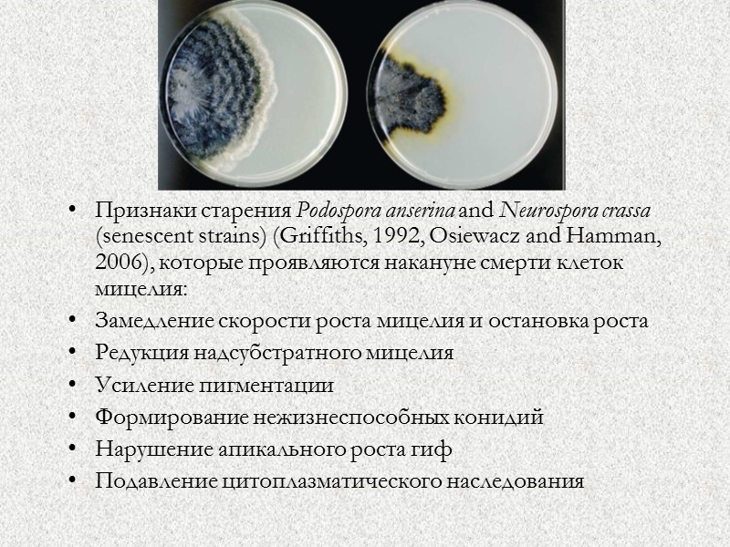 Признаки старения Podospora anserina and Neurospora crassa (senescent strains) (Griffiths, 1992, Osiewacz and Hamman,